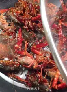 Make Vacuate the lobster step 3