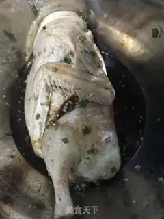 Make Duck step 1