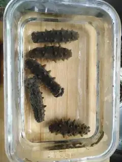 Make Bubble sea cucumber step 1