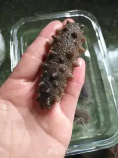 Make Bubble sea cucumber step 9