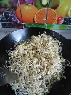 Make Bean sprouts step 5