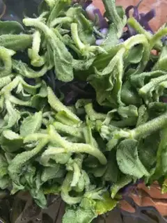 Make Vegetable salad step 3