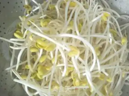 Make Bean sprouts step 1
