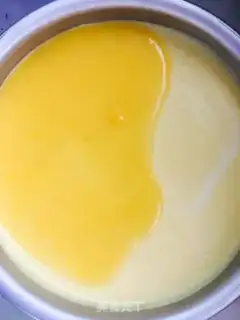 Make Mango Moose step 9