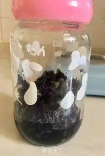 Make Blue country bread step 0