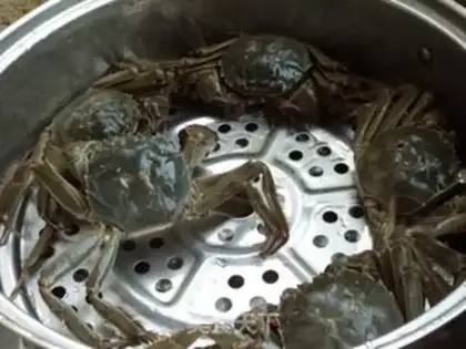Make Steam crabs step 1