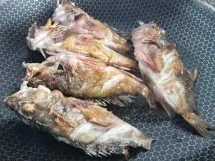 Make Red-hot-head fish step 3