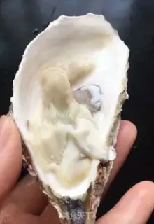 Make Garlic fan steams step 1