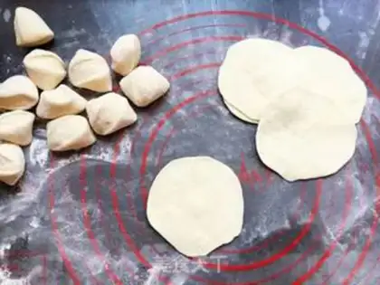 Make Tasty pot sticker step 5