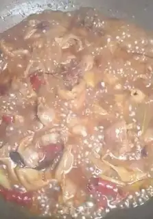 Make Spicy chicken step 9