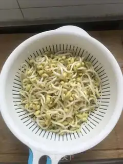 Make Sodium step 1