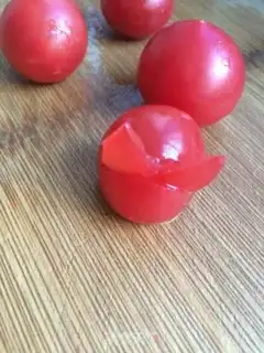 Make Tomato rabbit step 5