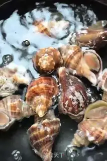 Make Soy sauce conch step 1
