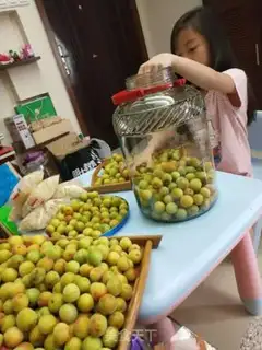 Make Blue plum wine step 2