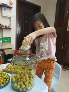 Make Blue plum wine step 3