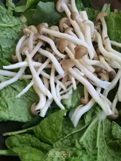 Make Crab mushrooms step 3