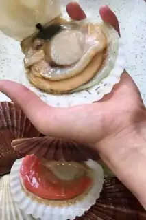 Make Steam scallops step 0