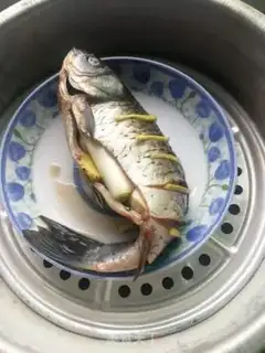 Make Spicy spicy fertilizer step 5
