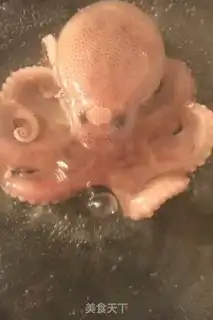 Make Spicy octopus step 0