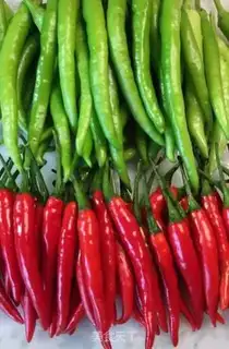 Make Chili pickles step 0
