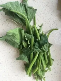 Make Clear the pumpkin vine step 0