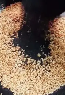 Make Black sesame rice sugar step 6