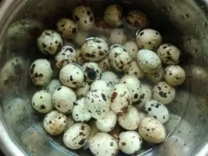 Make Tea quail eggs step 1