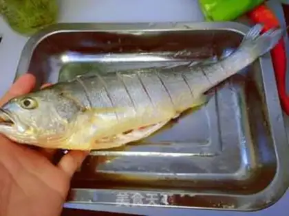 Make Vacuated yellowfish step 3