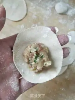 Make Shrimp dumplings step 10