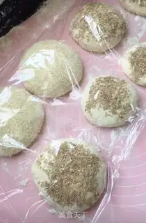 Make Pork dumplings step 3