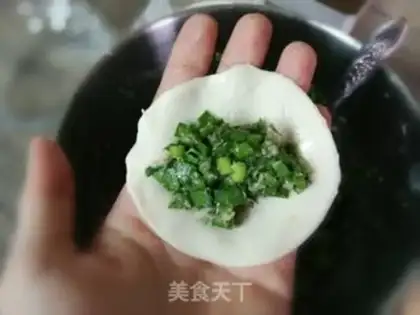 Make Pork dumplings step 8
