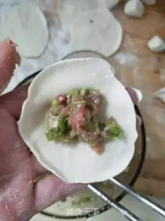 Make The dumplings step 7