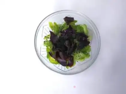 Make A cold, bitter melon step 14