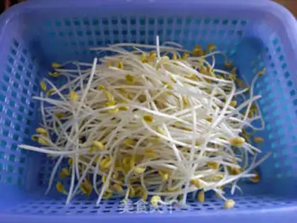 Make Bean sprouts step 1