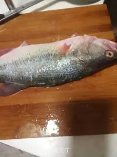 Make Steamfish step 0