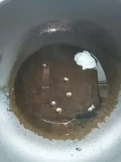 Make Pepto pepper step 3