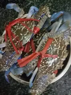 Make Steam crabs step 0