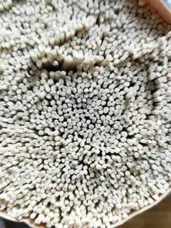 Make Onion noodles step 0