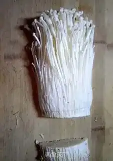 Make Dried golden needle mushrooms step 0