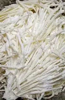 Make Dried golden needle mushrooms step 4