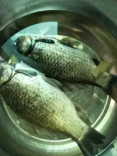 Make Fried mackerel step 0