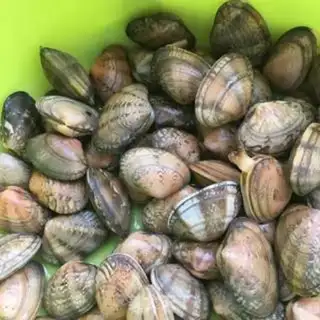 Make Scrambled clams step 0