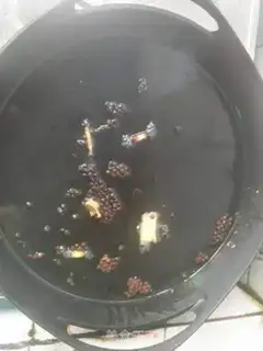 Make Fried mackerel step 4