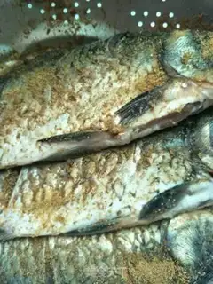 Make Spicy, dry, squirmfish step 0