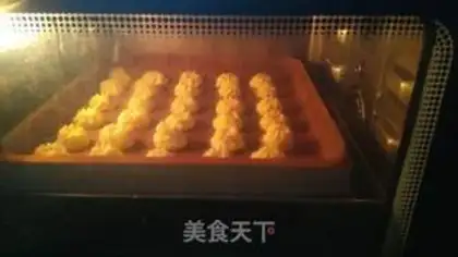 Make Sea salt net red cookies step 8