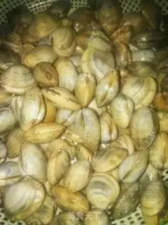 Make Garlic clams step 0
