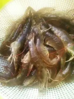 Make Shrimp step 0