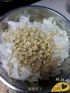 Make Plum sprouts step 0