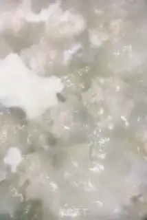 Make Poongullion soup step 8