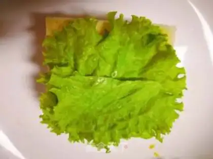 Make Ham salad sandwich step 7